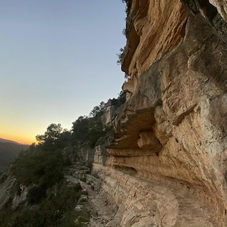 Apartaments Chenin Blanc-Priorat- 科尔努德利亚 外观 照片